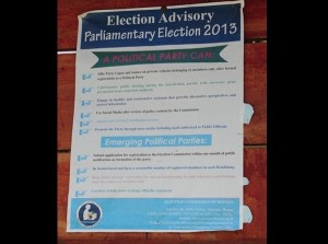 ‘A political party can’ enfranchise those who voted for it. Will the PDP? flickr/ Akshay Davis